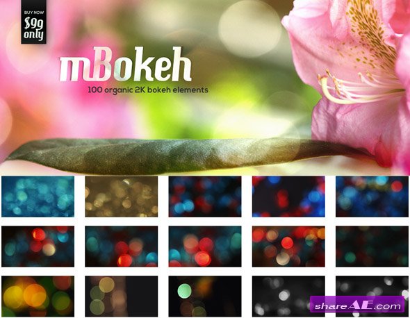 motionvfx mbokeh 100 organic 2k bokeh elements free download